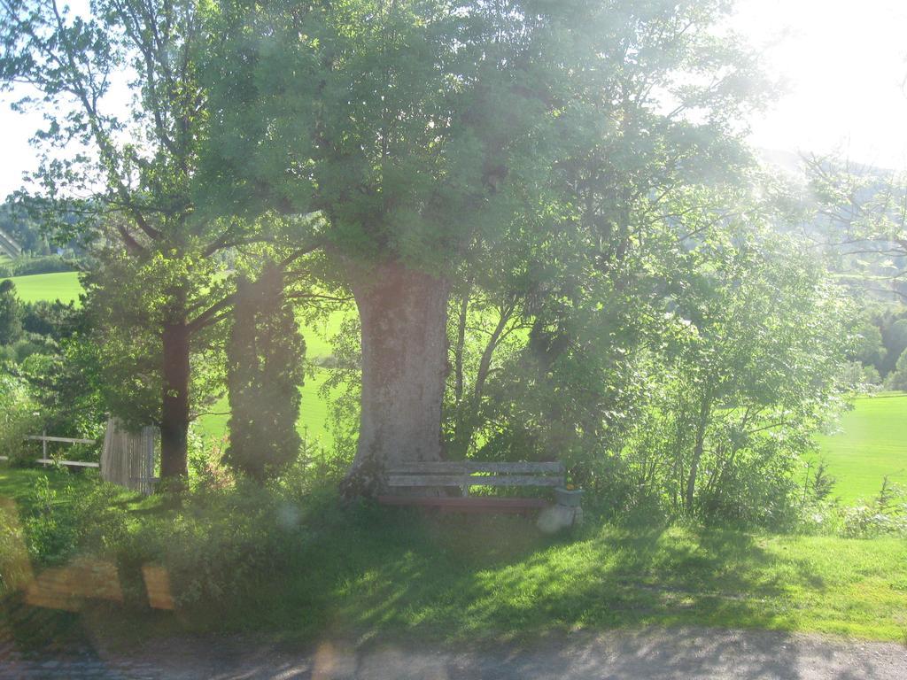 Sogn Gjestegard Svarstad  Bilik gambar